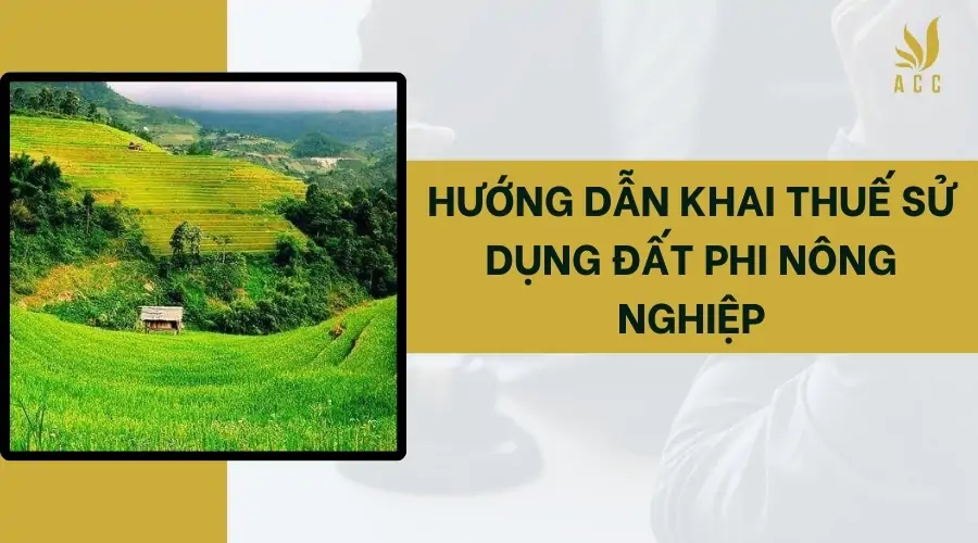 Hướng dẫn khai thuế sử dụng đất phi nông nghiệp