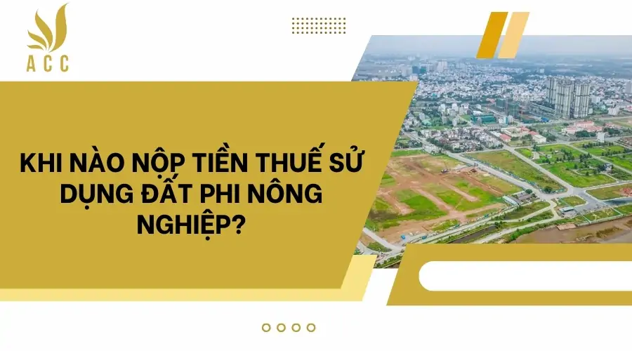 Khi nào nộp tiền thuế sử dụng đất phi nông nghiệp