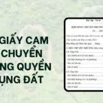 Mẫu giấy cam kết chuyển nhượng quyền sử dụng đất