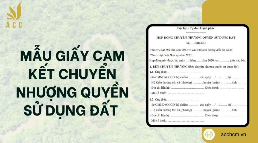 Mẫu giấy cam kết chuyển nhượng quyền sử dụng đất