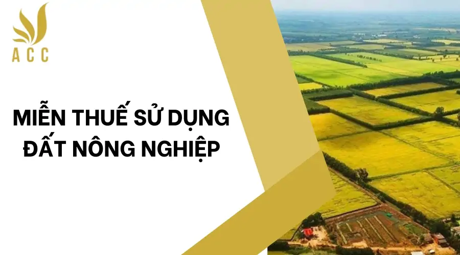 Miễn thuế sử dụng đất nông nghiệp