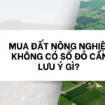 Mua đất nông nghiệp không có sổ đỏ cần lưu ý gì