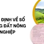 Quy định về sổ hồng đất nông nghiệp