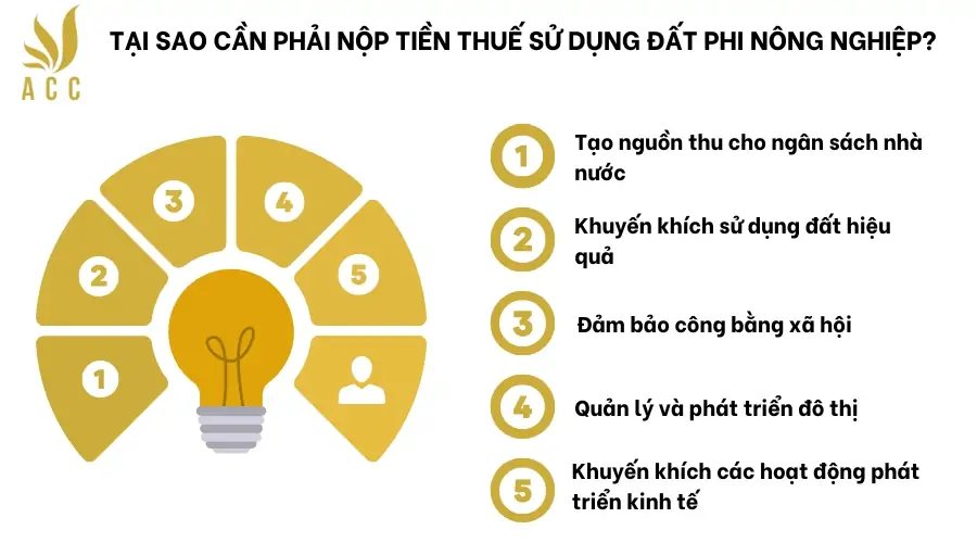 Tại sao cần phải nộp tiền thuế sử dụng đất phi nông nghiệp trường hợp không được nhận chuyển nhượng quyền sử dụng đất