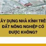 Xây dựng nhà kính trên đất nông nghiệp có được không