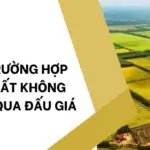 Các trường hợp giao đất không thông qua đấu giá