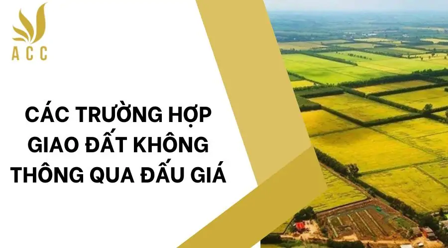 Các trường hợp giao đất không thông qua đấu giá