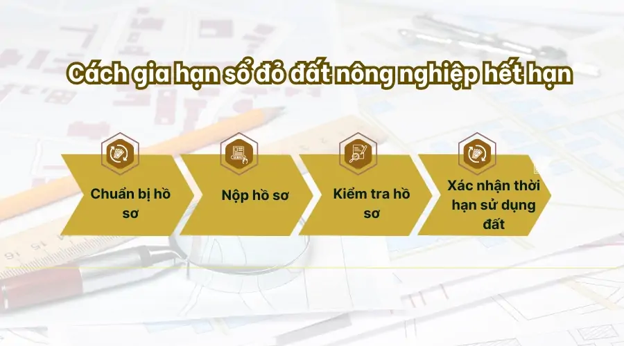 Cách gia hạn sổ đỏ đất nông nghiệp hết hạn