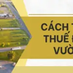 Cách tính thuế đất vườn