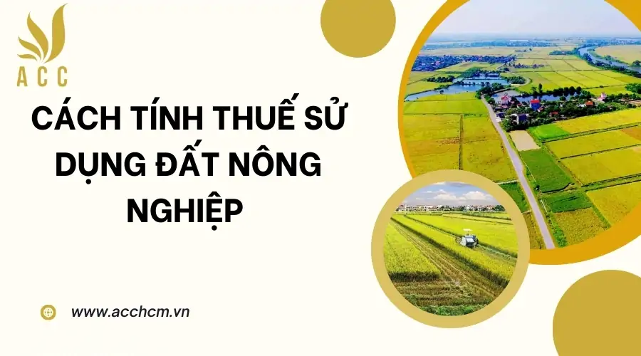 Cách tính thuế sử dụng đất nông nghiệp