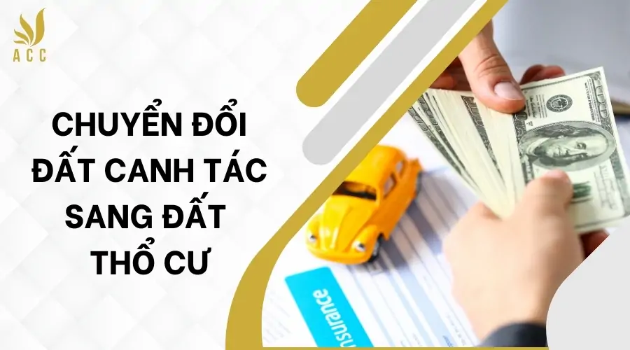 Chuyển đổi đất canh tác sang đất thổ cư