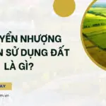 Chuyển nhượng quyền sử dụng đất là gì