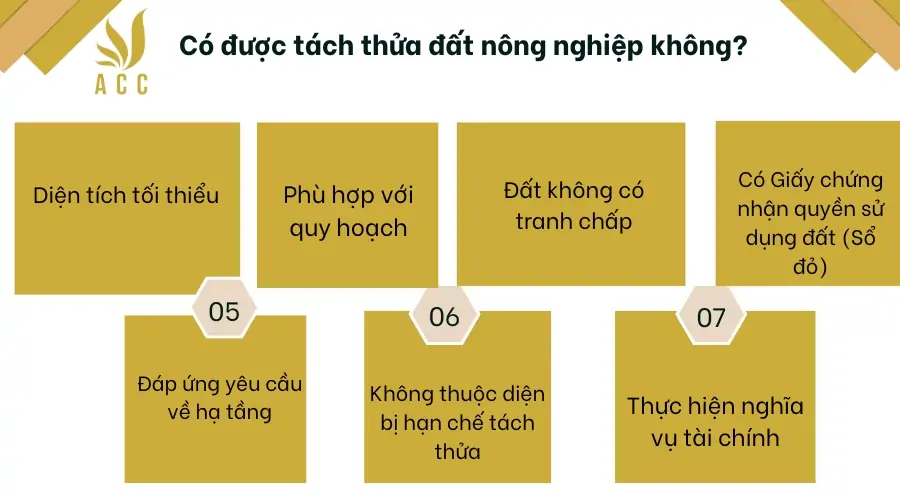 Có được tách thửa đất nông nghiệp không 