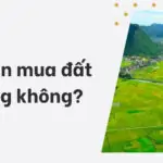 Có nên mua đất ruộng không?