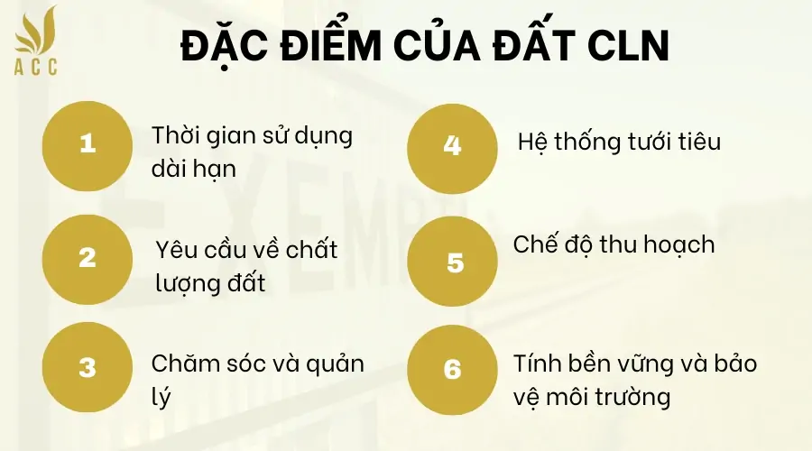 Đặc điểm của Đất CLN