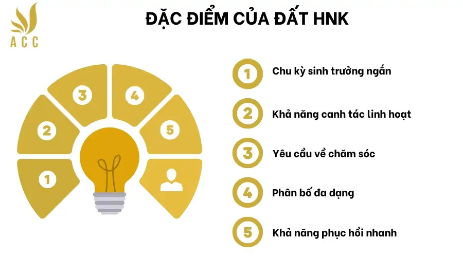 Đặc điểm của đất HNK