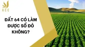 Đất 64 có làm được sổ đỏ không