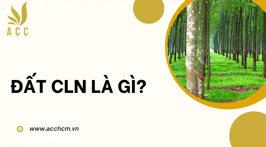 Đất CLN là gì