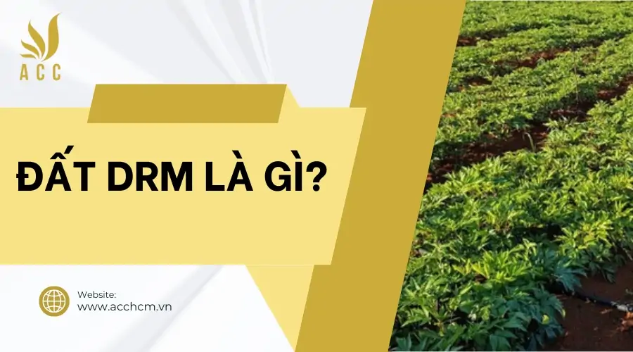Đất DRM là gì