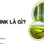 Đất HNK là gì