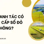 Đất canh tác có được cấp sổ đỏ không