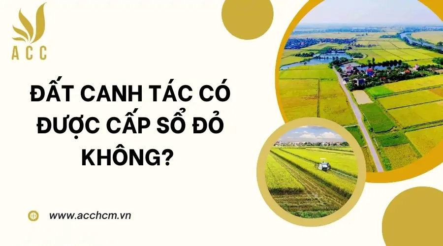 Đất canh tác có được cấp sổ đỏ không