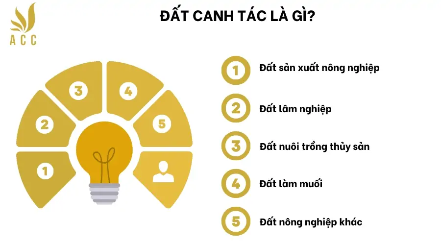 Đất canh tác là gì