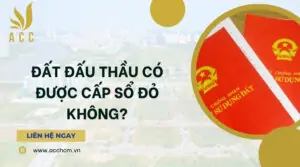 Đất đấu thầu có được cấp sổ đỏ không