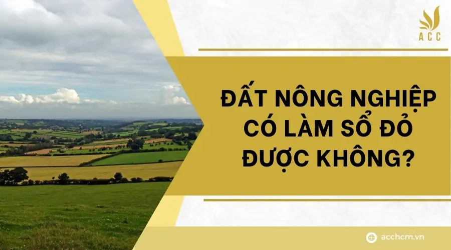 Đất nông nghiệp có làm sổ đỏ được không