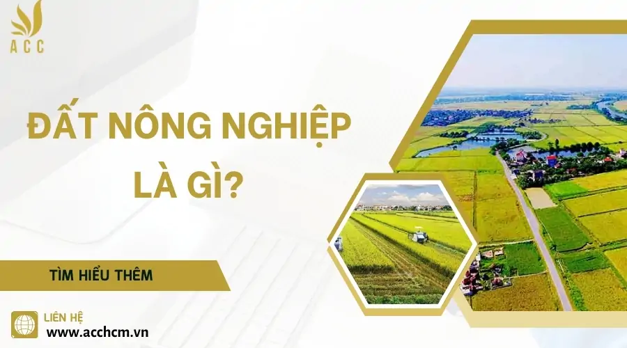 Đất nông nghiệp là gì 