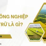 Đất nông nghiệp dự trữ là gì