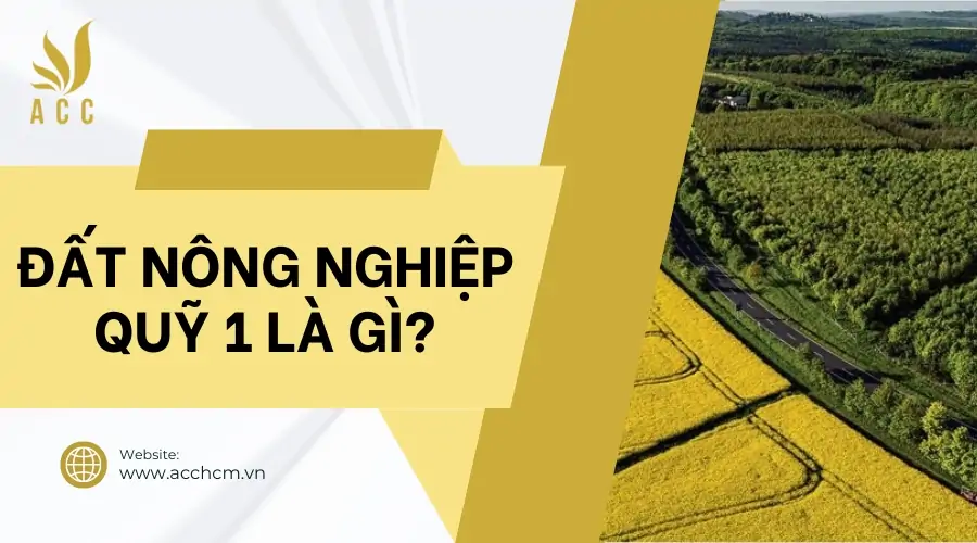 Đất nông nghiệp quỹ 1 là gì