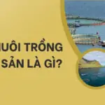 Đất nuôi trồng thủy sản là gì