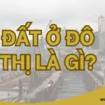 Đất ở đô thị là gì?