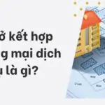 Đất ở kết hợp thương mại dịch vụ là gì