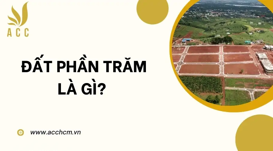 Đất phần trăm là gì?