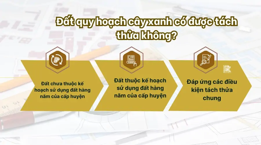 Đất quy hoạch cây xanh có được tách thửa không 