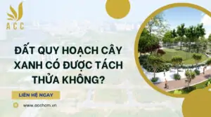 Đất quy hoạch cây xanh có được tách thửa không