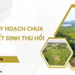 Đất quy hoạch chưa có quyết định thu hồi