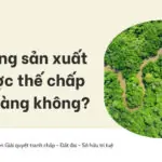 Đất rừng sản xuất có được thế chấp ngân hàng không