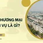 Đất thương mại dịch vụ là gì