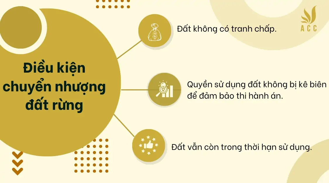 Điều kiện chuyển nhượng đất rừng