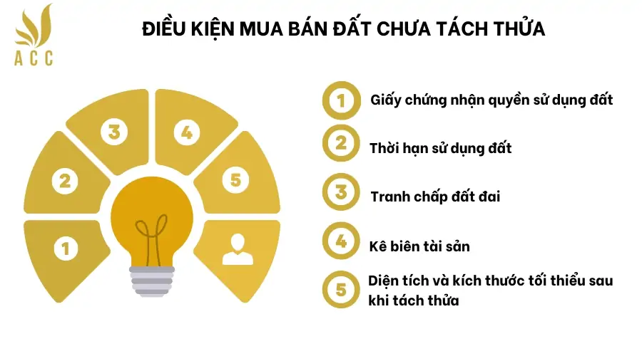 Điều kiện mua bán đất chưa tách thửa