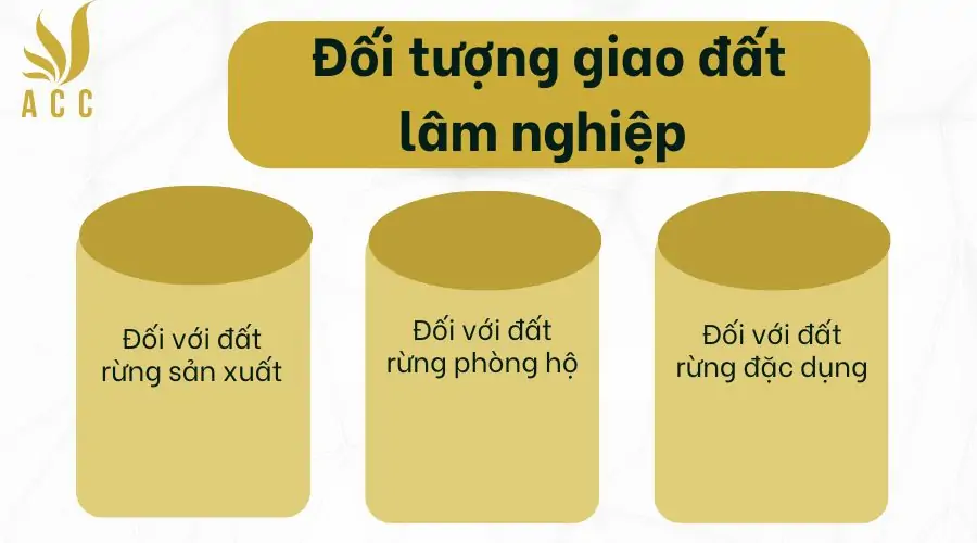 Đối tượng giao đất lâm nghiệp