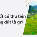 Giao đất có thu tiền sử dụng đất là gì