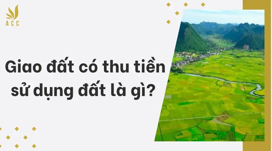 Giao đất có thu tiền sử dụng đất là gì