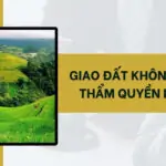 Giao đất không đúng thẩm quyền là gì