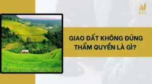 Giao đất không đúng thẩm quyền là gì