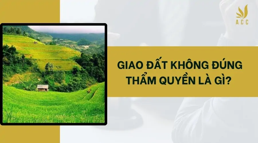 Giao đất không đúng thẩm quyền là gì