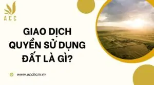 Giao dịch quyền sử dụng đất là gì?